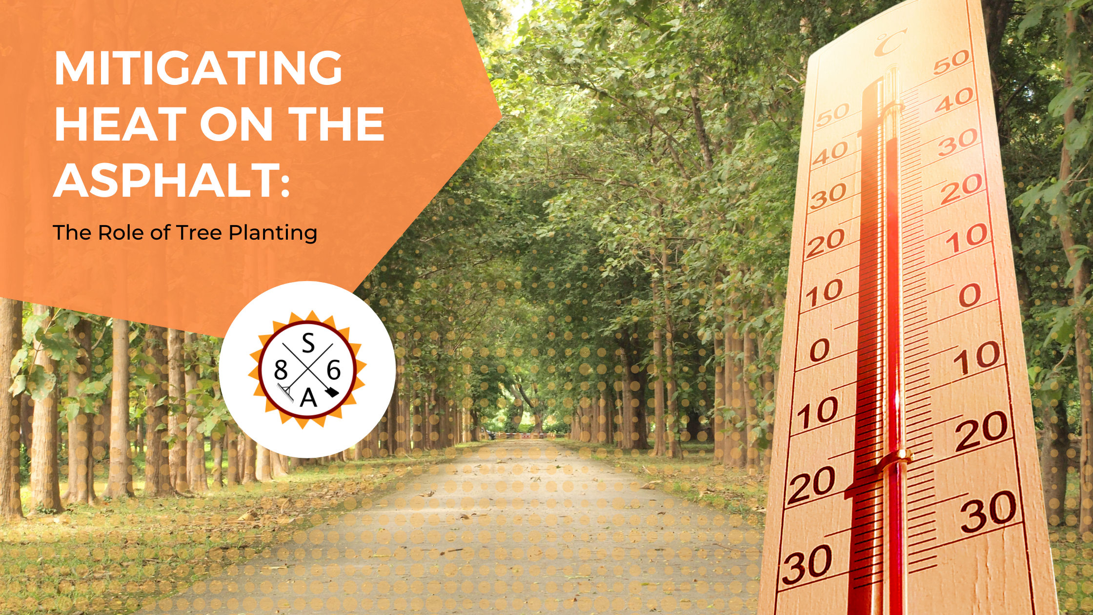Mitigating Heat on the Asphalt: The Role of Tree Planting