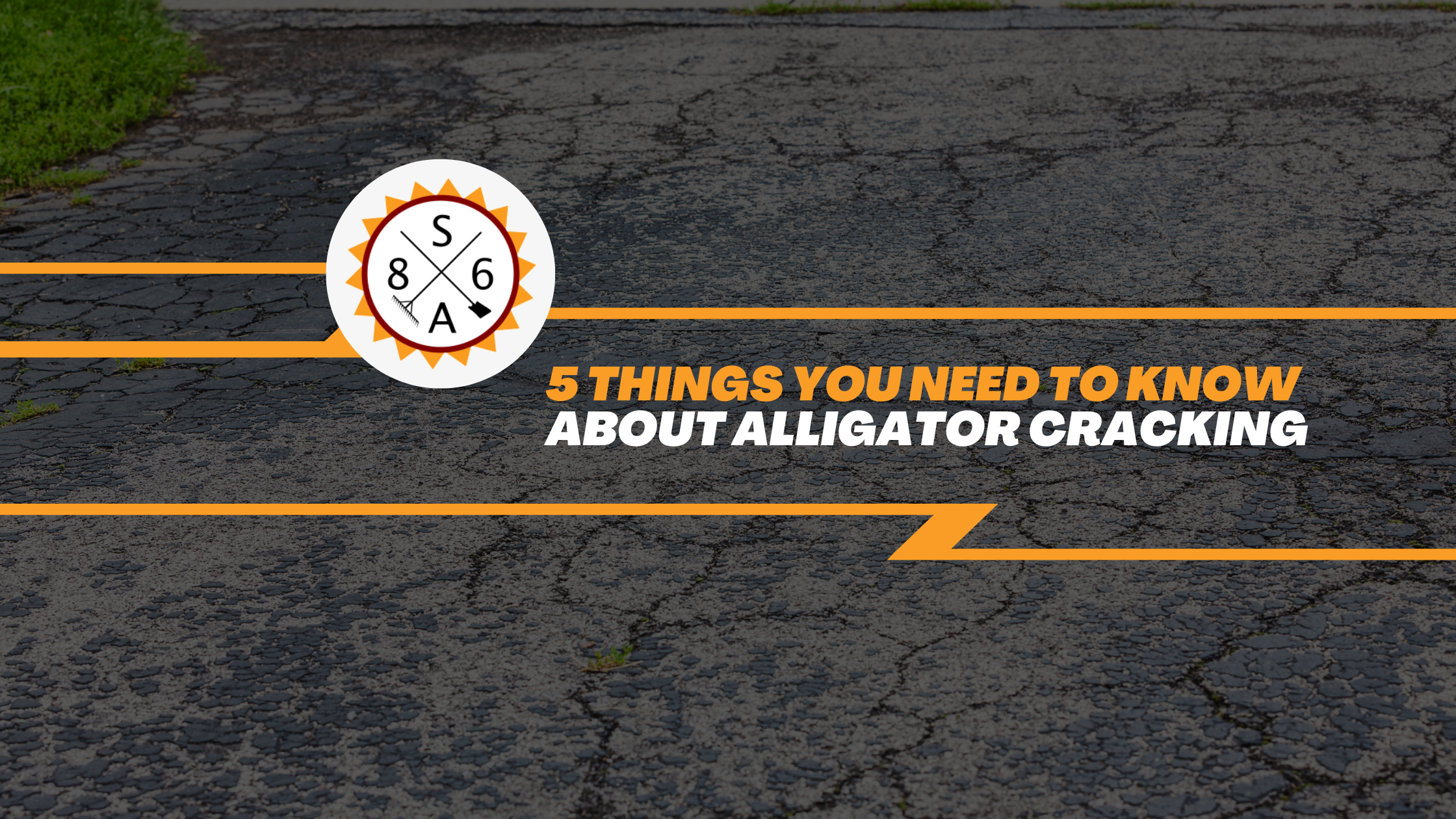 5 Things You Need to Know About Alligator Cracking