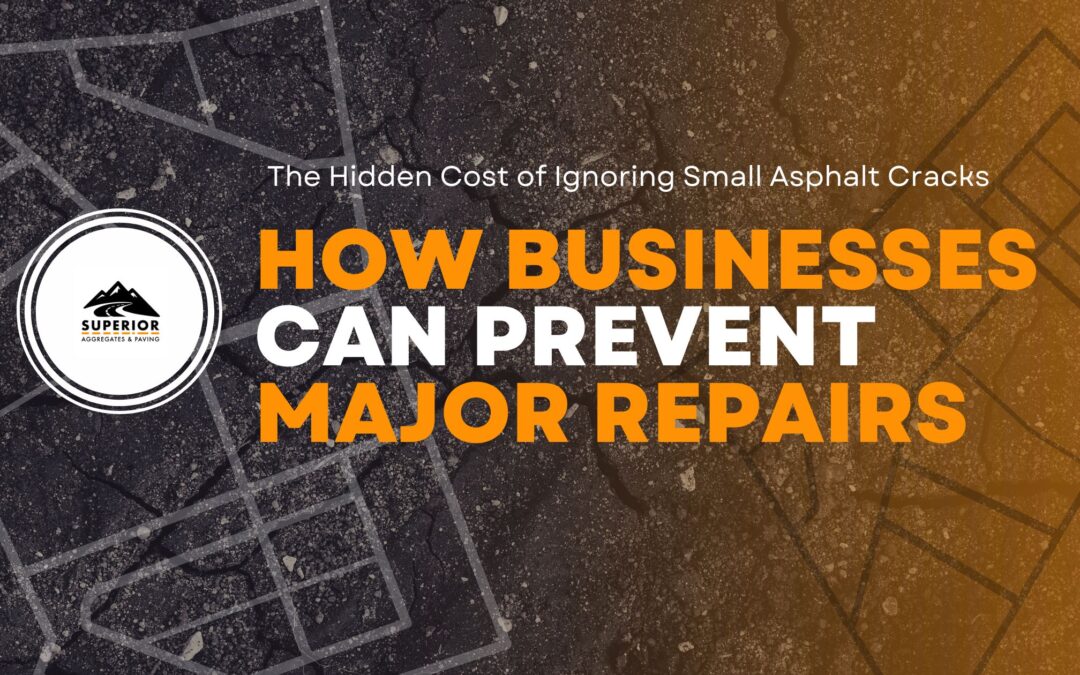 The Hidden Cost of Ignoring Small Asphalt Cracks (And How Businesses Can Prevent Major Repairs)
